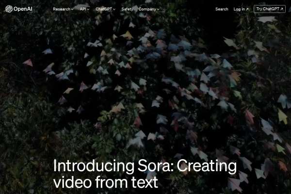 Sora