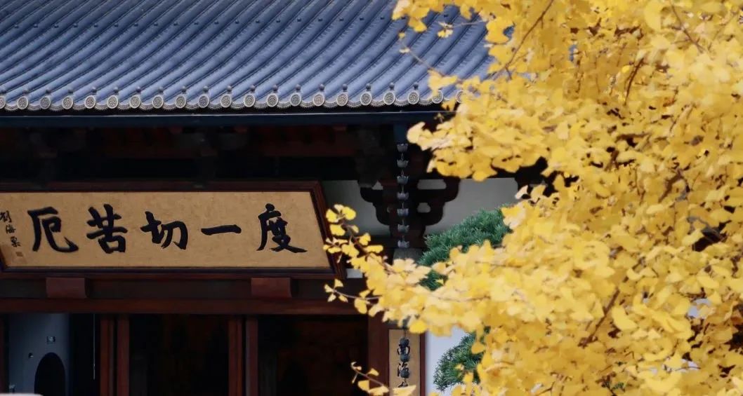 年轻人求好运新方式：寺庙、水晶与AI塔罗牌的多元选择